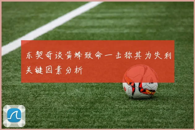 东契奇谈黄蜂致命一击称其为失利关键因素分析