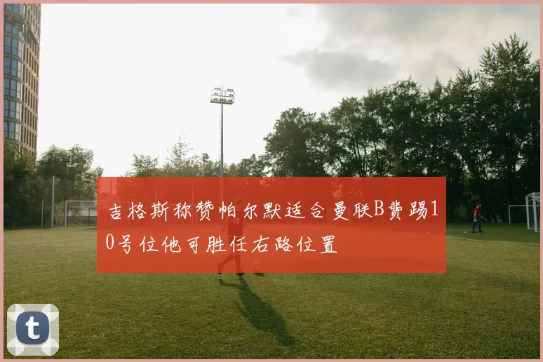吉格斯称赞帕尔默适合曼联B费踢10号位他可胜任右路位置
