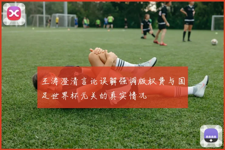 王涛澄清言论误解强调版权费与国足世界杯无关的真实情况